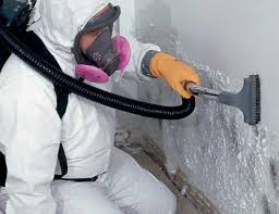 Best Mold Remediation for Vacation Homes  in USA